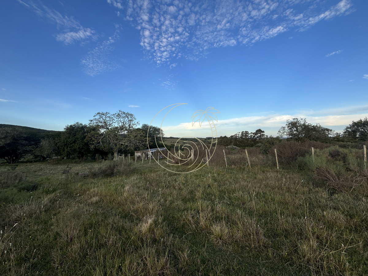 Chacra ID.21092963 - Oportunidad, Chacra en venta Pueblo Garzón (Frente a Bodega Garzón)