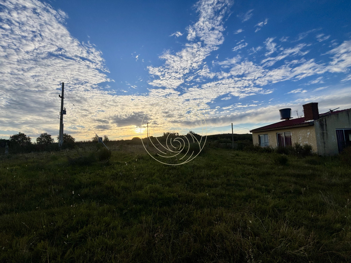 Chacra ID.21092963 - Oportunidad, Chacra en venta Pueblo Garzón (Frente a Bodega Garzón)