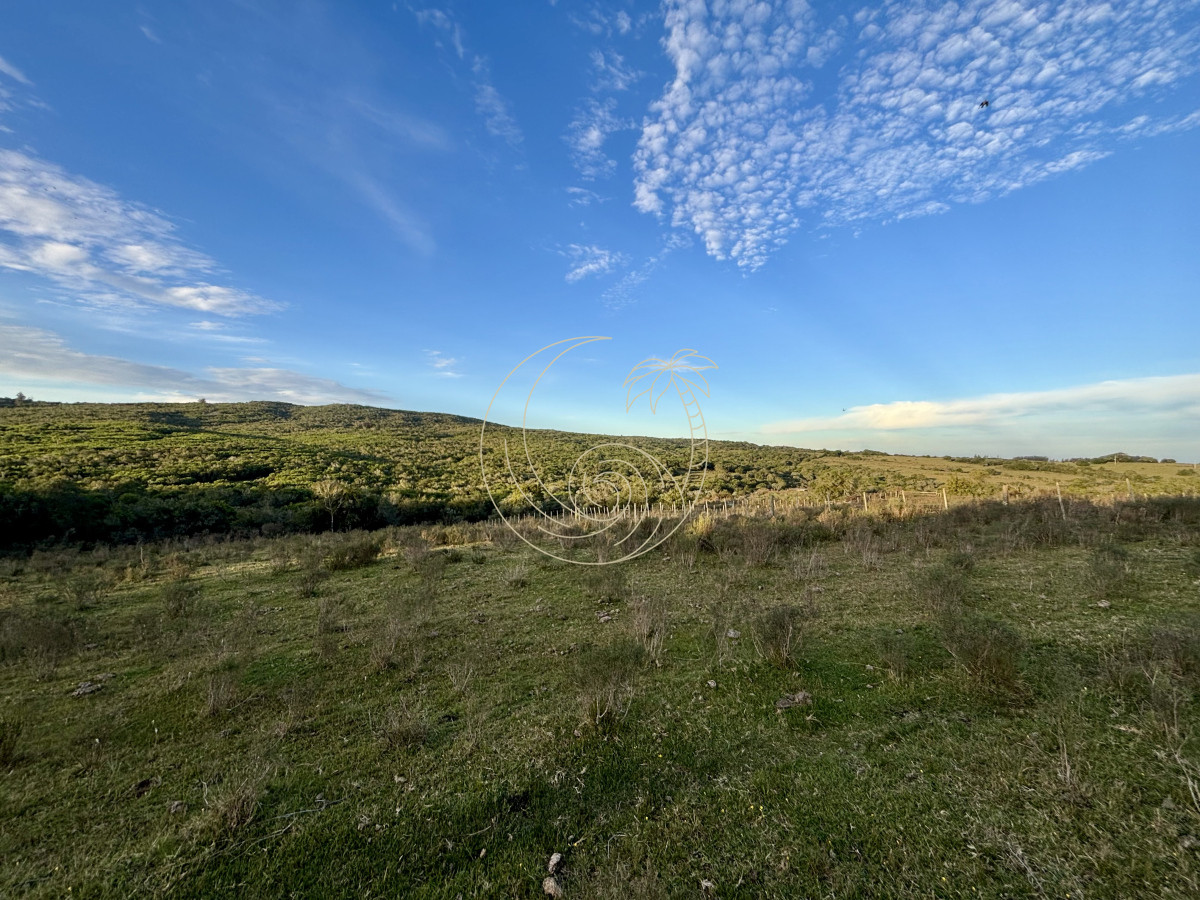 Chacra ID.21092963 - Oportunidad, Chacra en venta Pueblo Garzón (Frente a Bodega Garzón)