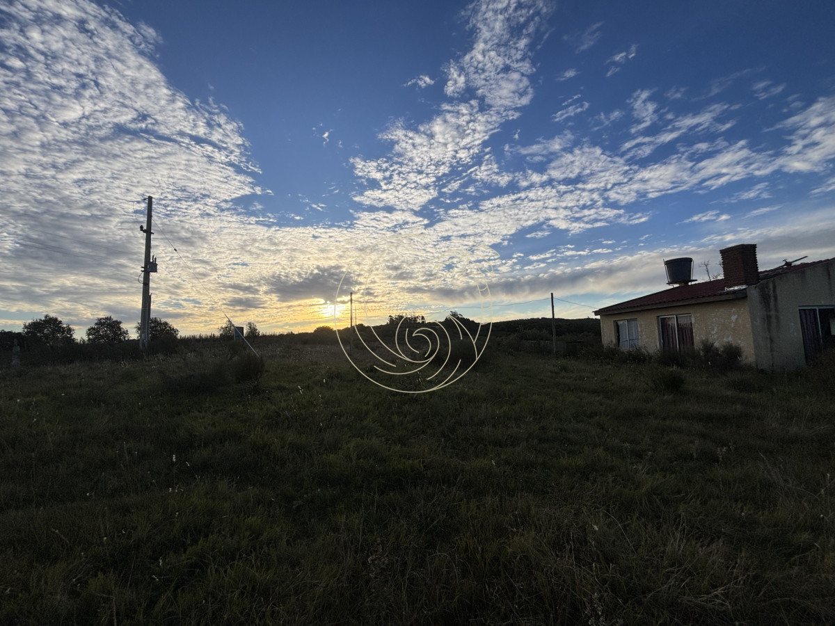 Chacra ID.21092963 - Oportunidad, Chacra en venta Pueblo Garzón (Frente a Bodega Garzón)