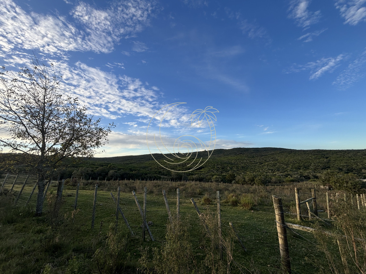 Chacra ID.21092963 - Oportunidad, Chacra en venta Pueblo Garzón (Frente a Bodega Garzón)