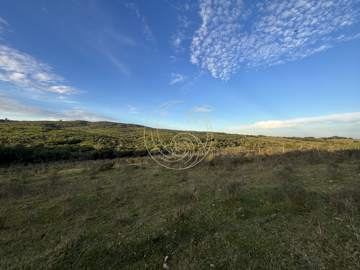 Chacra ID.21092963 - Oportunidad, Chacra en venta Pueblo Garzón (Frente a Bodega Garzón)