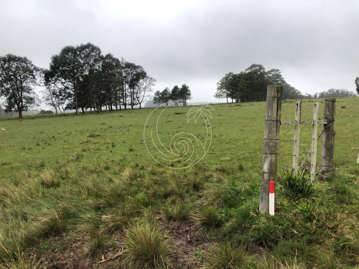 Chacra ID.21092415 - Chacra de 5 hectareas pegada al Barrio Cerrado El Quijote - La Barra 