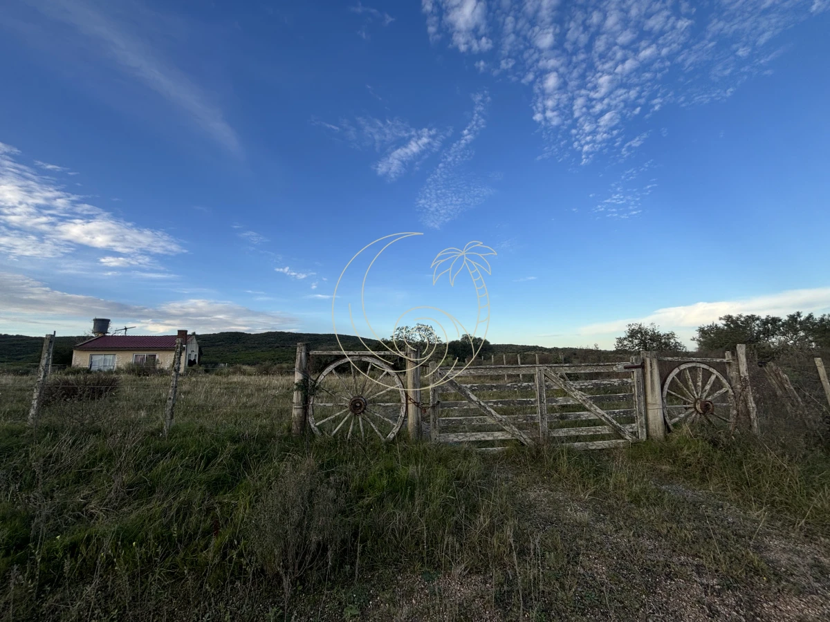 Chacra ID.21092963 - Oportunidad, Chacra en venta Pueblo Garzón (Frente a Bodega Garzón)