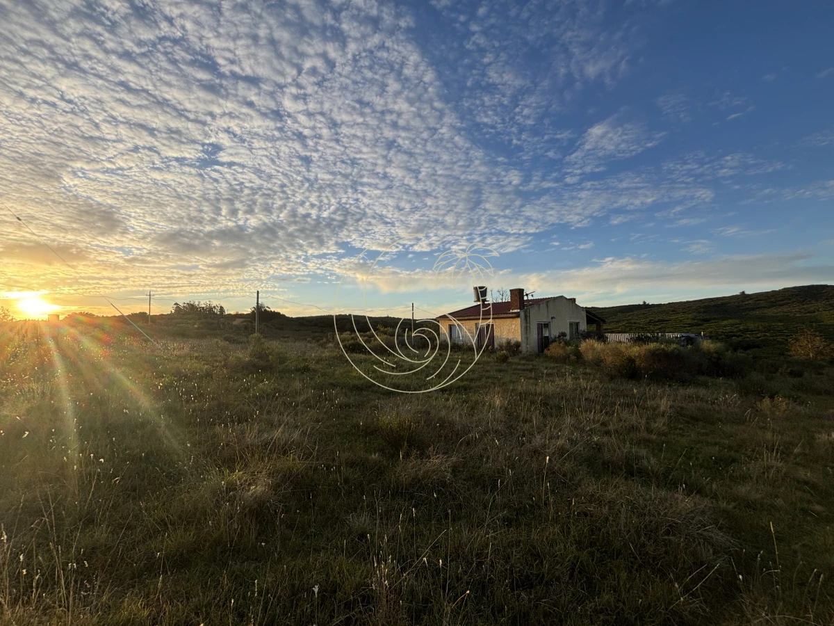 Chacra ID.21092963 - Oportunidad, Chacra en venta Pueblo Garzón (Frente a Bodega Garzón)