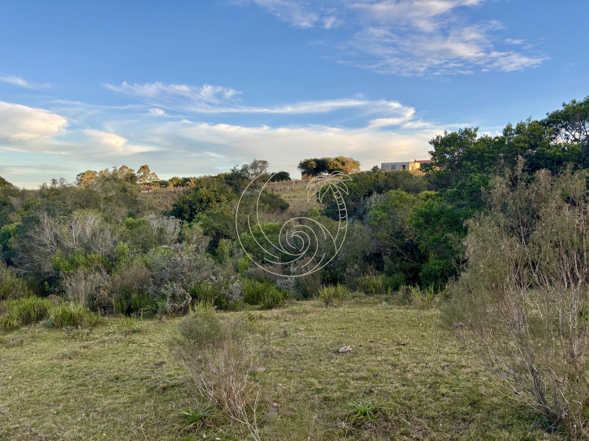 Chacra ID.21092963 - Oportunidad, Chacra en venta Pueblo Garzón (Frente a Bodega Garzón)