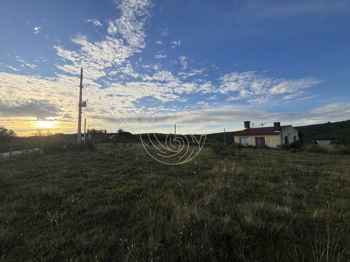 Chacra ID.21092963 - Oportunidad, Chacra en venta Pueblo Garzón (Frente a Bodega Garzón)