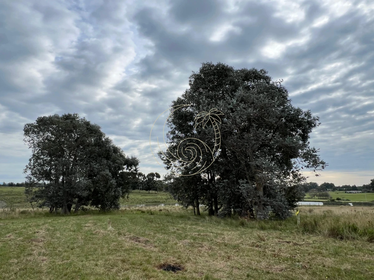 Chacra ID.21092932 - CHACRA EN EL QUIJOTE