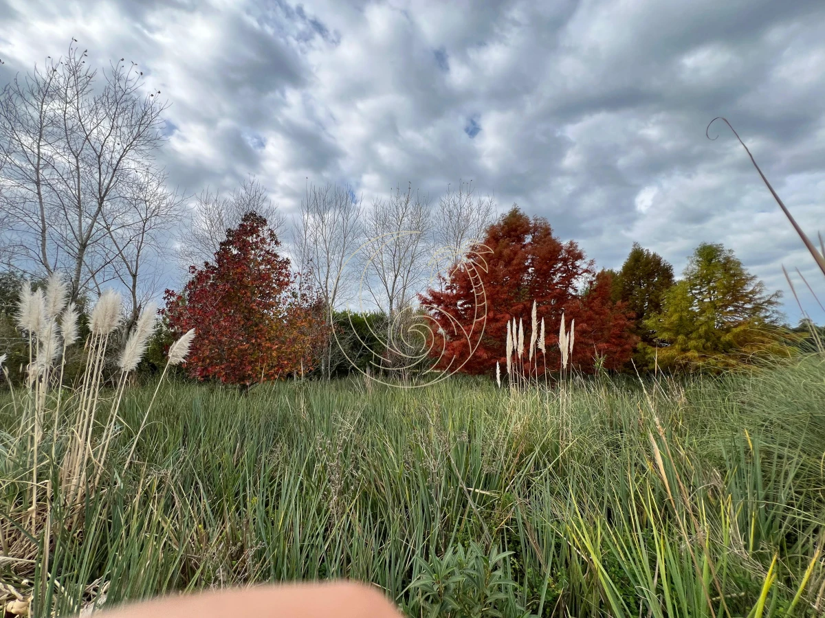 Chacra ID.21092932 - CHACRA EN EL QUIJOTE