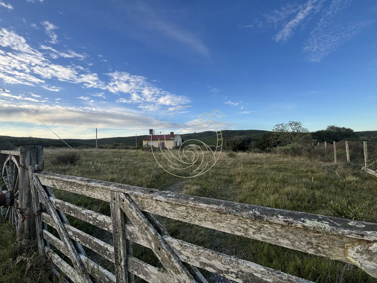 Chacra ID.21092963 - Oportunidad, Chacra en venta Pueblo Garzón (Frente a Bodega Garzón)