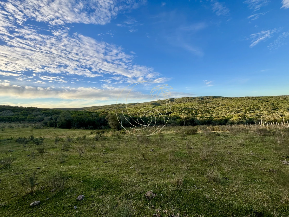 Chacra ID.21092963 - Oportunidad, Chacra en venta Pueblo Garzón (Frente a Bodega Garzón)