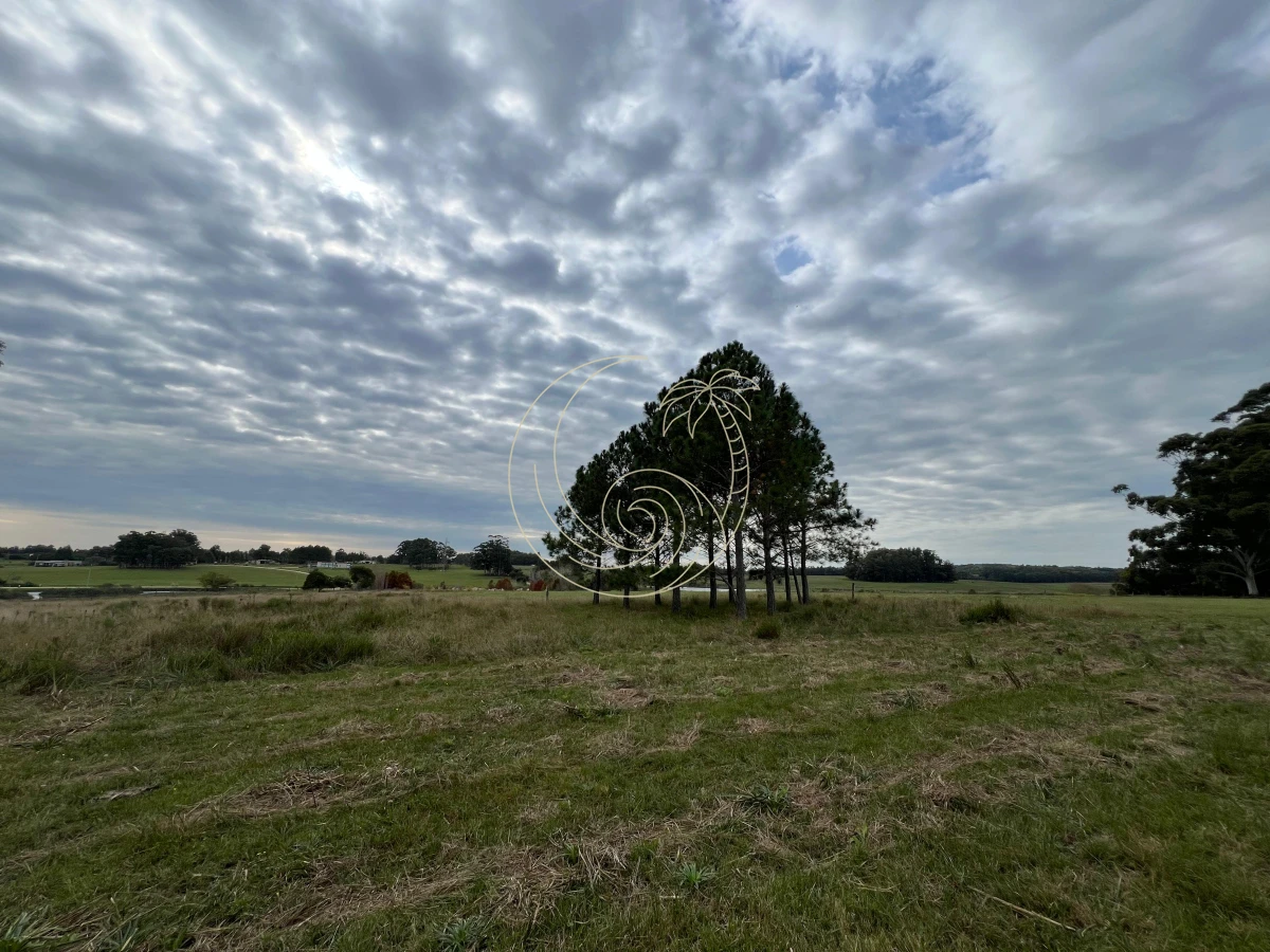 Chacra ID.21092932 - CHACRA EN EL QUIJOTE