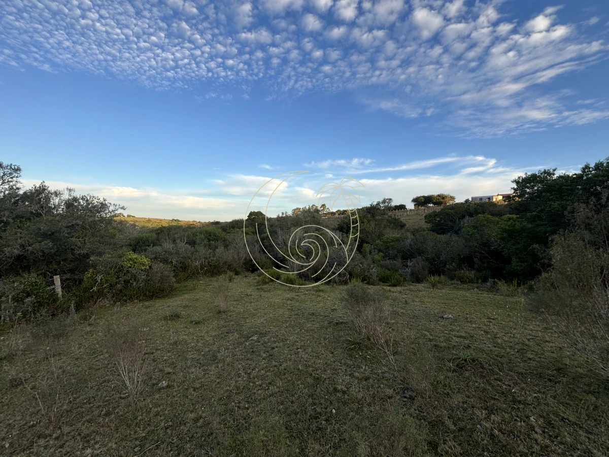Chacra ID.21092963 - Oportunidad, Chacra en venta Pueblo Garzón (Frente a Bodega Garzón)