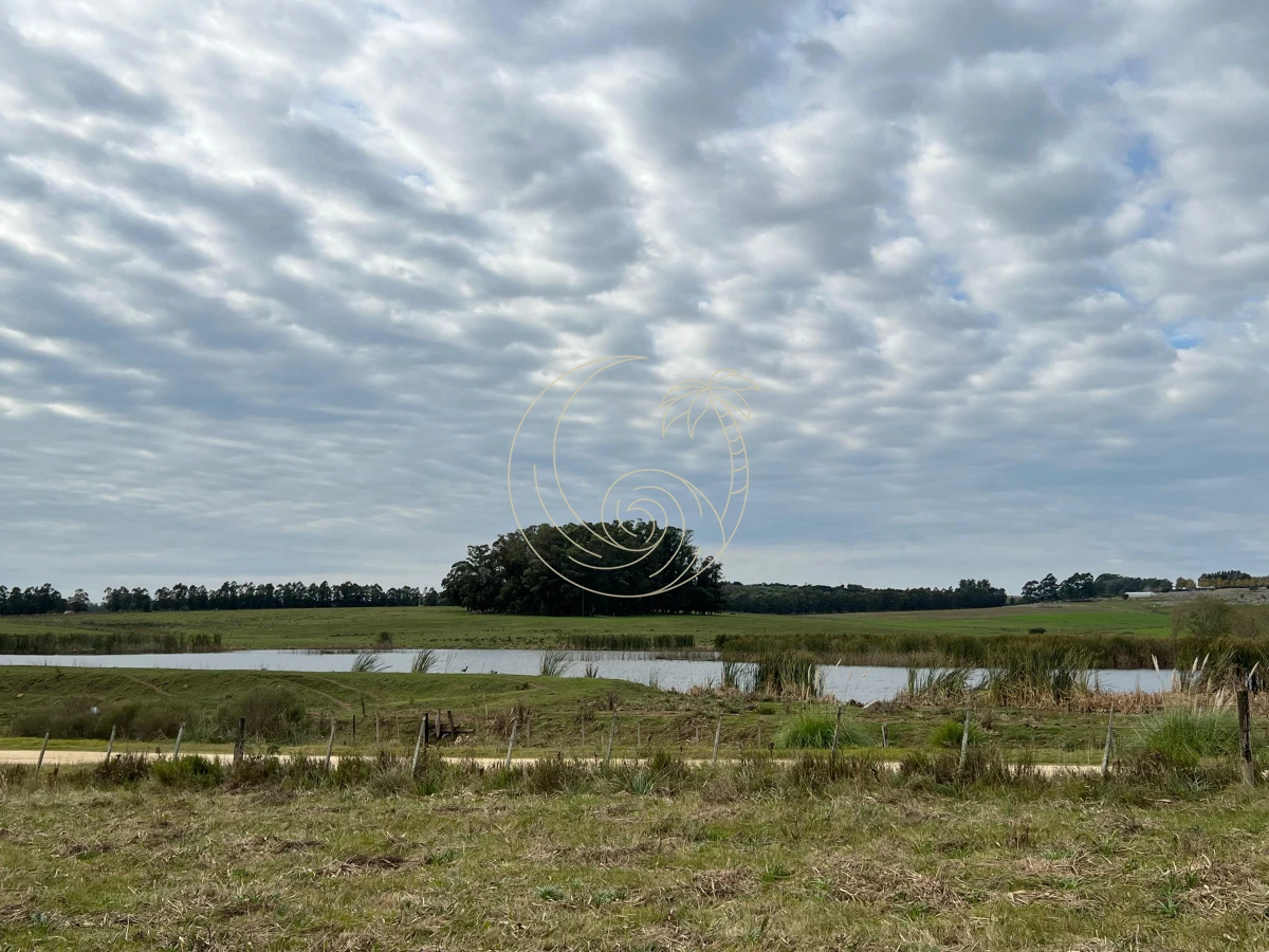 Chacra ID.21092932 - CHACRA EN EL QUIJOTE