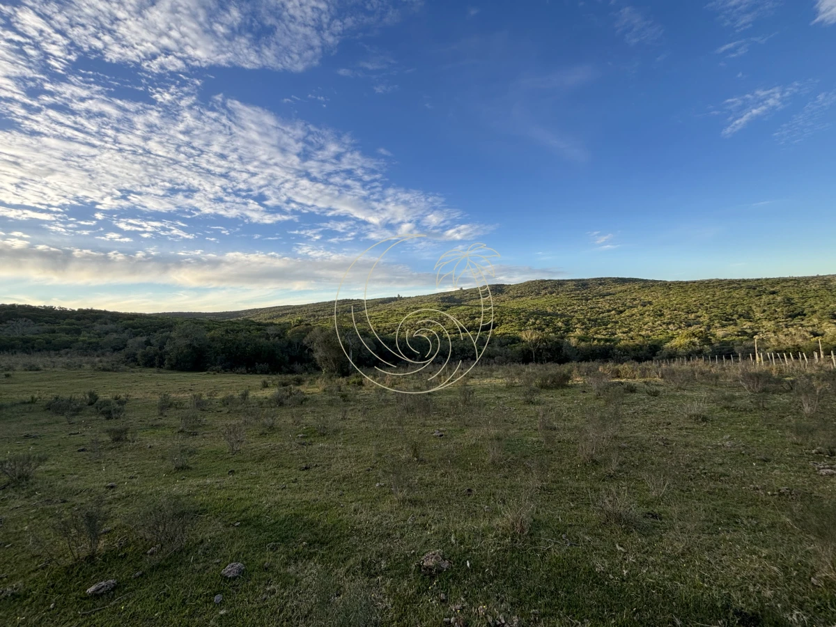 Chacra ID.21092963 - Oportunidad, Chacra en venta Pueblo Garzón (Frente a Bodega Garzón)
