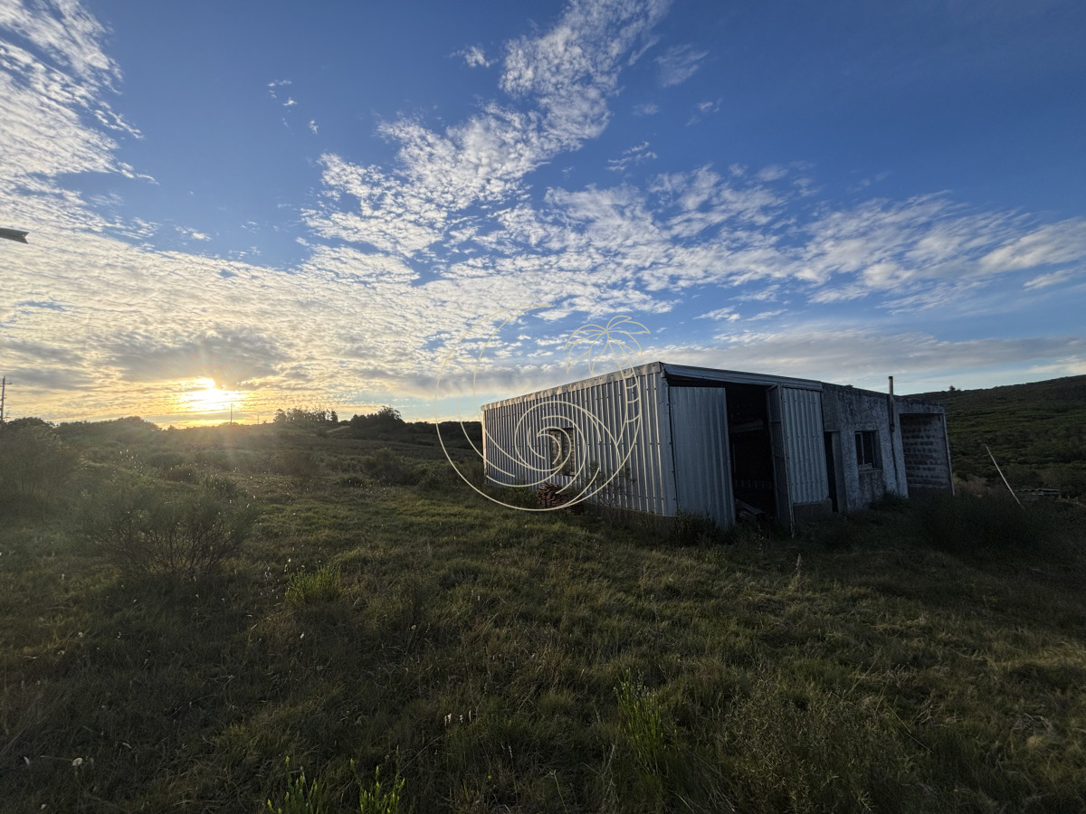 Chacra ID.21092963 - Oportunidad, Chacra en venta Pueblo Garzón (Frente a Bodega Garzón)