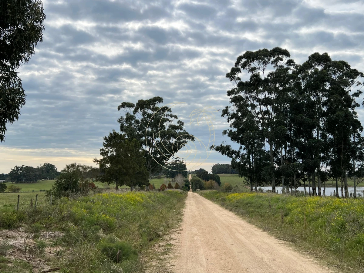 Chacra ID.21092932 - CHACRA EN EL QUIJOTE