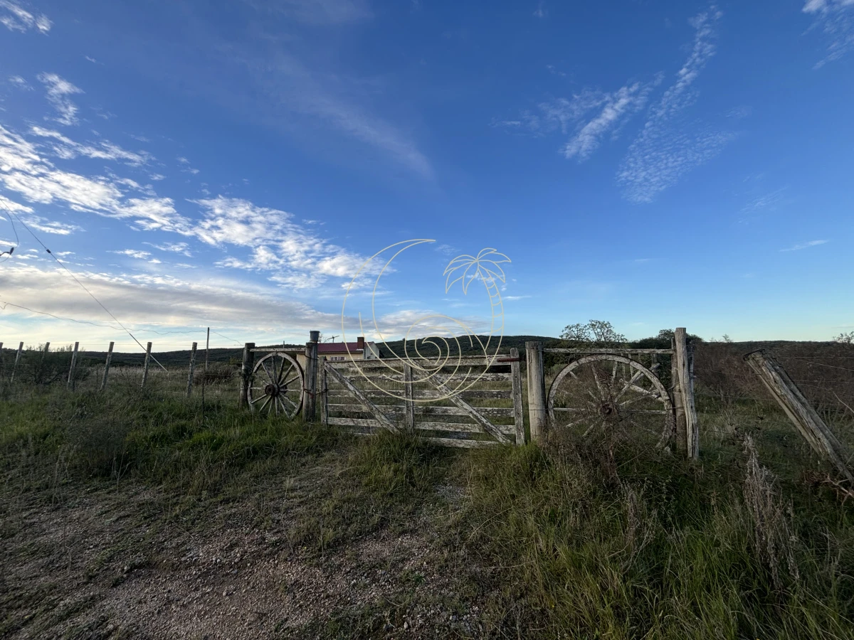 Chacra ID.21092963 - Oportunidad, Chacra en venta Pueblo Garzón (Frente a Bodega Garzón)
