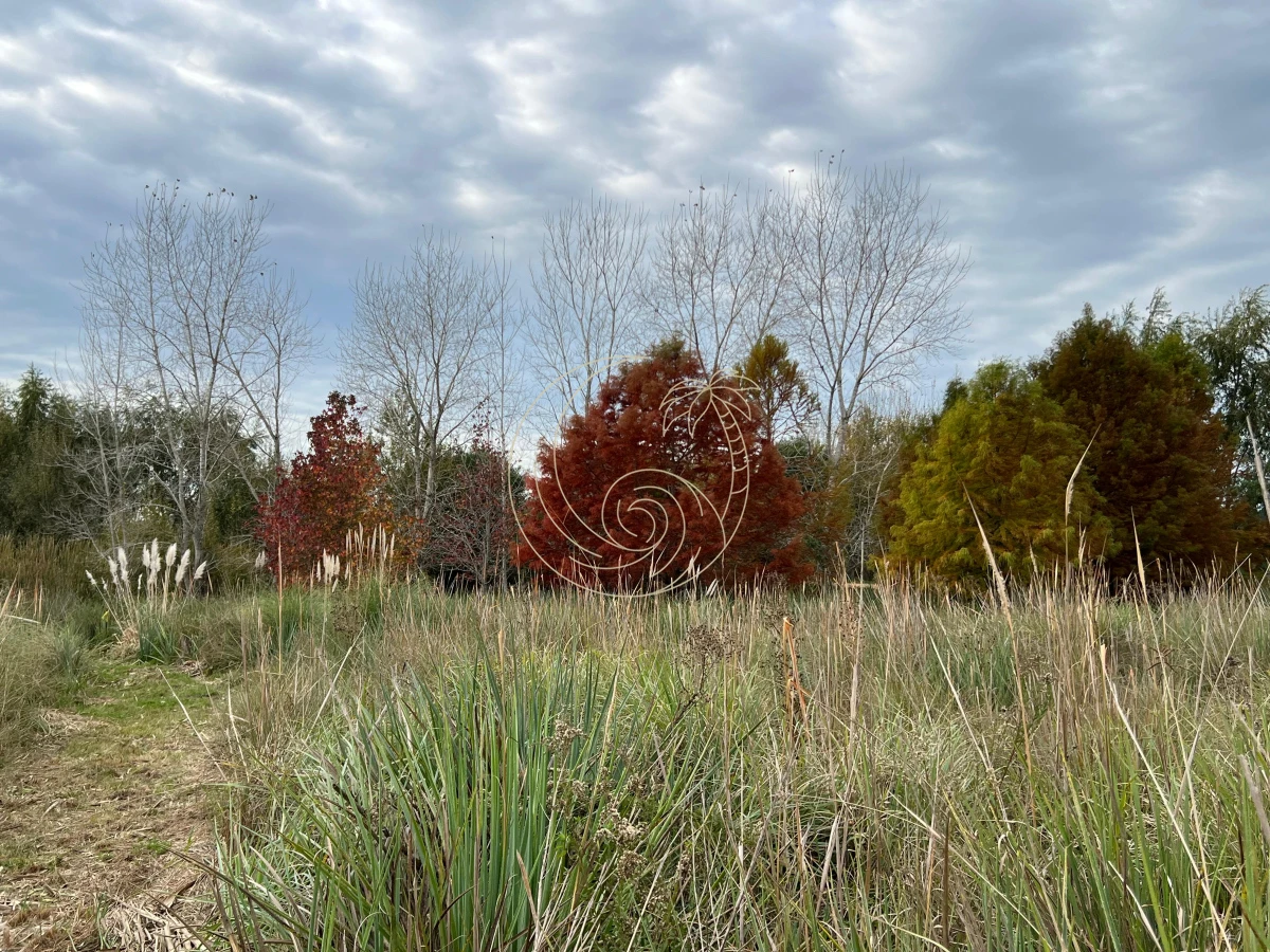 Chacra ID.21092932 - CHACRA EN EL QUIJOTE