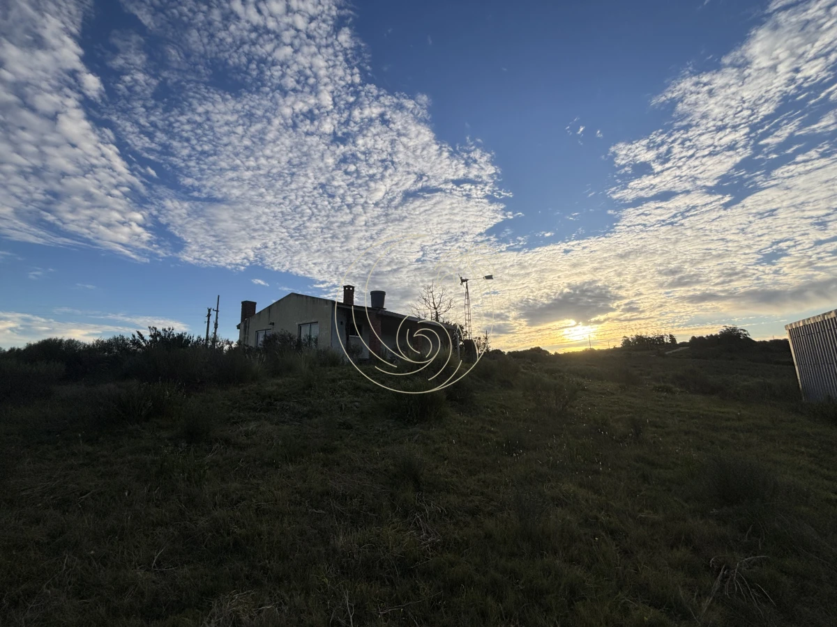 Chacra ID.21092963 - Oportunidad, Chacra en venta Pueblo Garzón (Frente a Bodega Garzón)