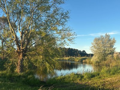 VENTA CHACRA RUTA 104