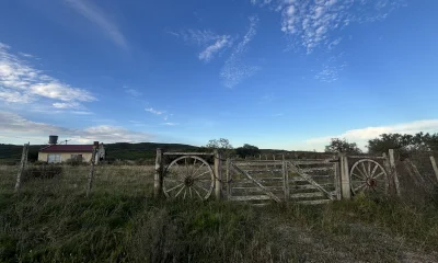 Oportunidad, Chacra en venta Pueblo Garzón (Frente a Bodega Garzón)