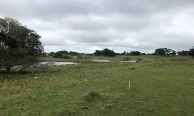 Chacra de 5 hectareas pegada al Barrio Cerrado El Quijote - La Barra