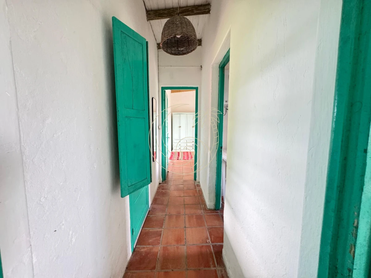 Campo Ref.21092828 - VENTA DE CHACRA – 81 HECTÁREAS EN CAMINO A PUEBLO GARZÓN