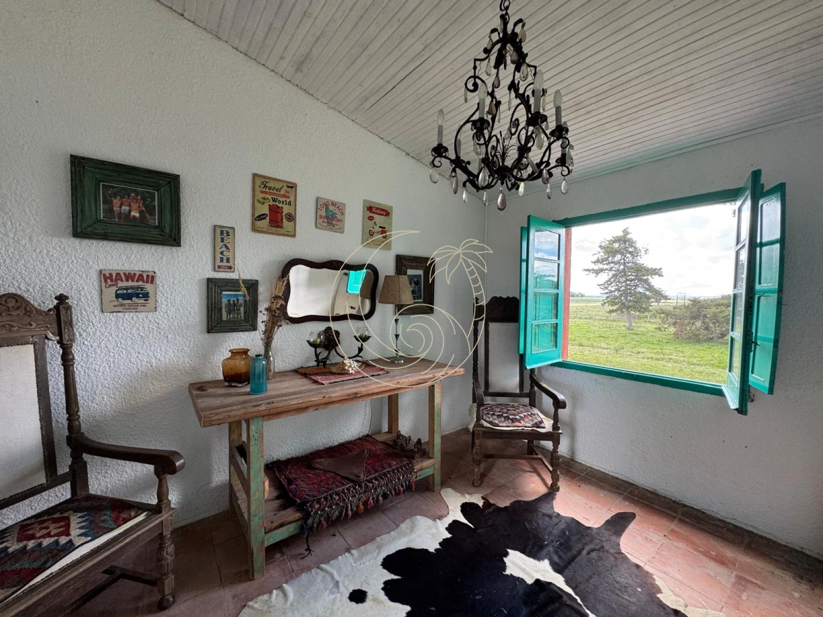 Campo Ref.21092828 - VENTA DE CHACRA – 81 HECTÁREAS EN CAMINO A PUEBLO GARZÓN