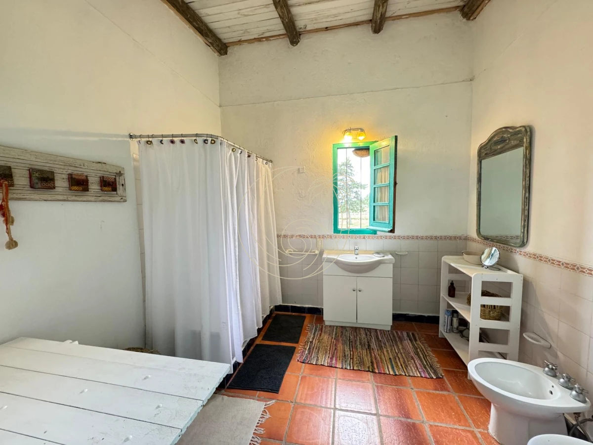 Campo Ref.21092828 - VENTA DE CHACRA – 81 HECTÁREAS EN CAMINO A PUEBLO GARZÓN