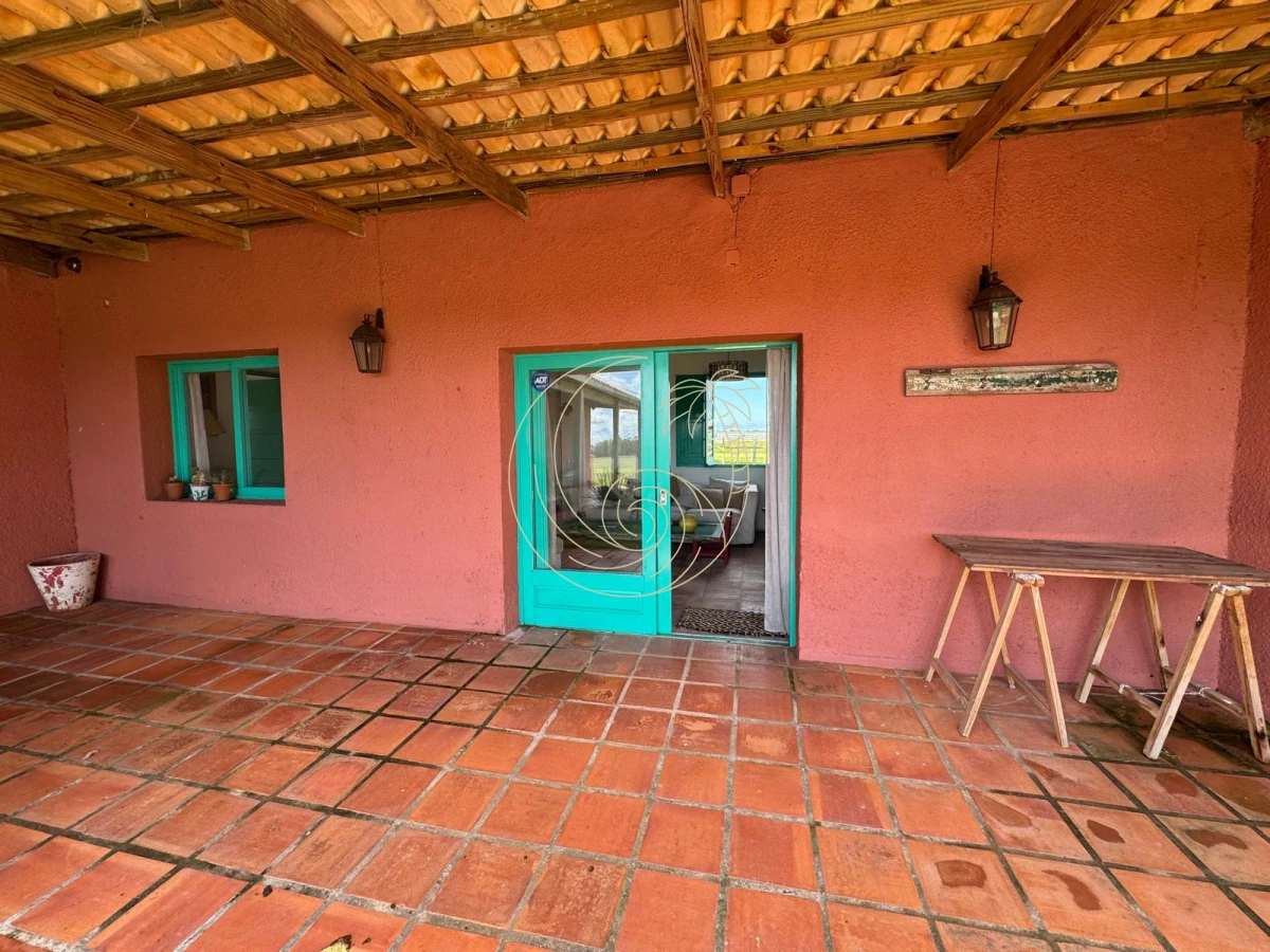 Campo Ref.21092828 - VENTA DE CHACRA – 81 HECTÁREAS EN CAMINO A PUEBLO GARZÓN