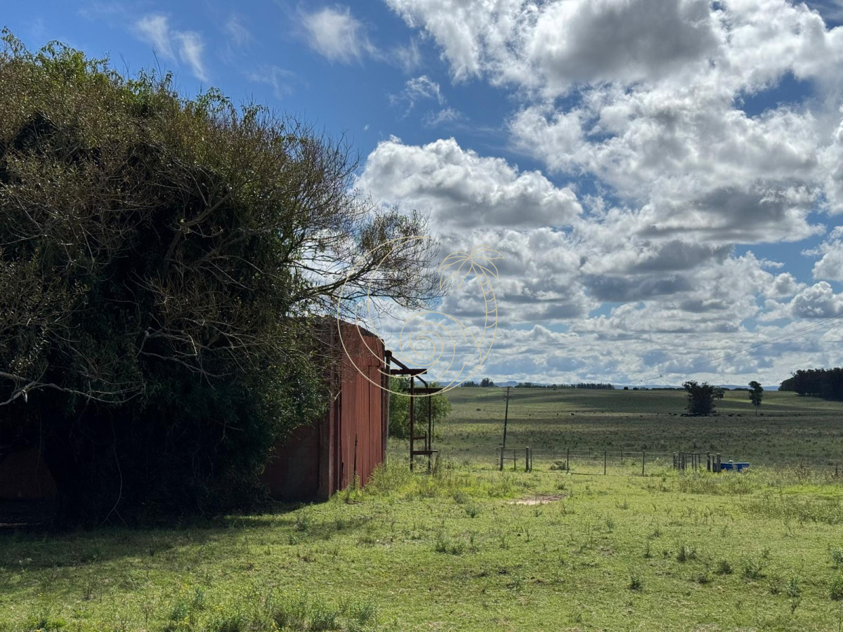 Campo Ref.21092828 - VENTA DE CHACRA  81 HECTÁREAS EN CAMINO A PUEBLO GARZÓN