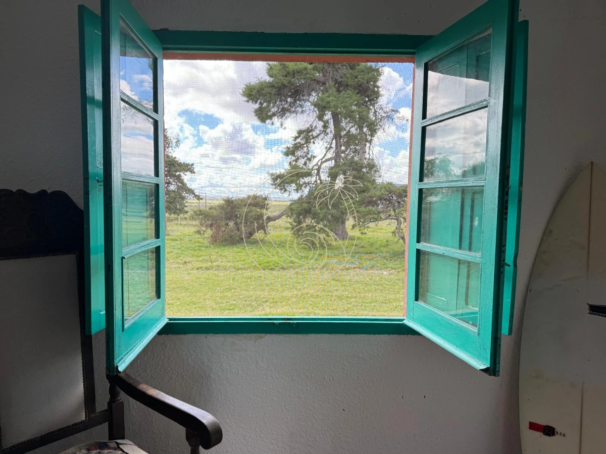 Campo Ref.21092828 - VENTA DE CHACRA – 81 HECTÁREAS EN CAMINO A PUEBLO GARZÓN