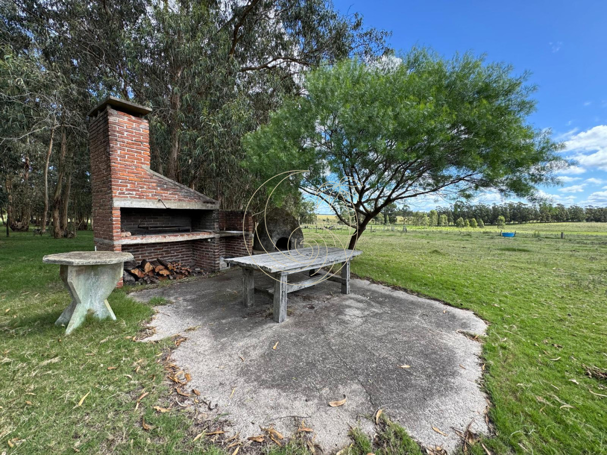 Campo Ref.21092828 - VENTA DE CHACRA  81 HECTÁREAS EN CAMINO A PUEBLO GARZÓN
