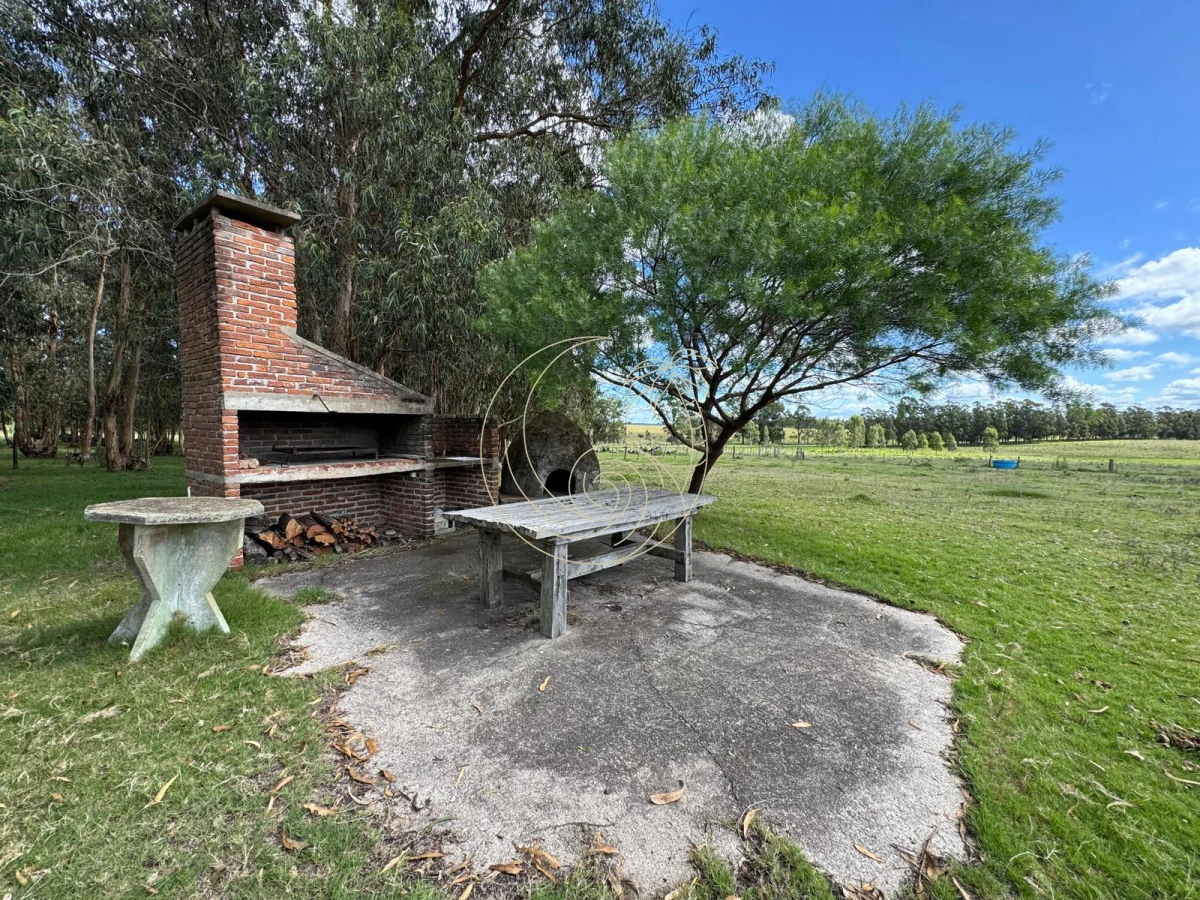 Campo Ref.21092828 - VENTA DE CHACRA – 81 HECTÁREAS EN CAMINO A PUEBLO GARZÓN