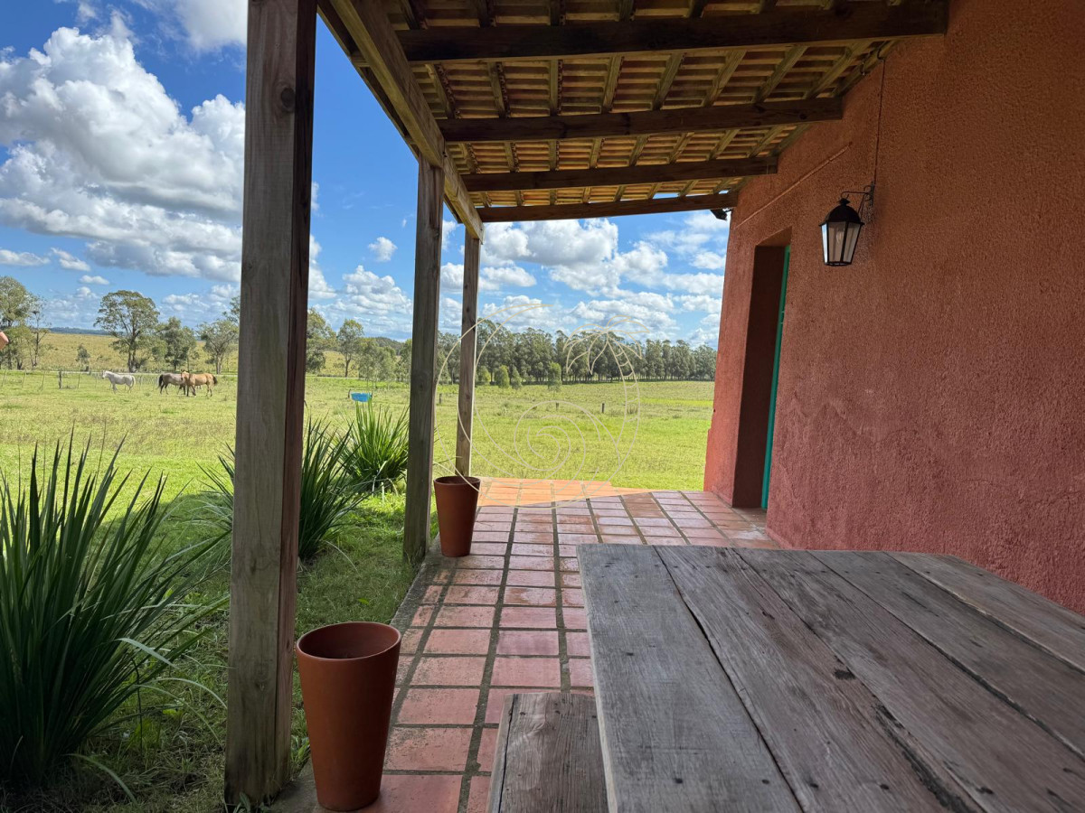 Campo Ref.21092828 - VENTA DE CHACRA  81 HECTÁREAS EN CAMINO A PUEBLO GARZÓN