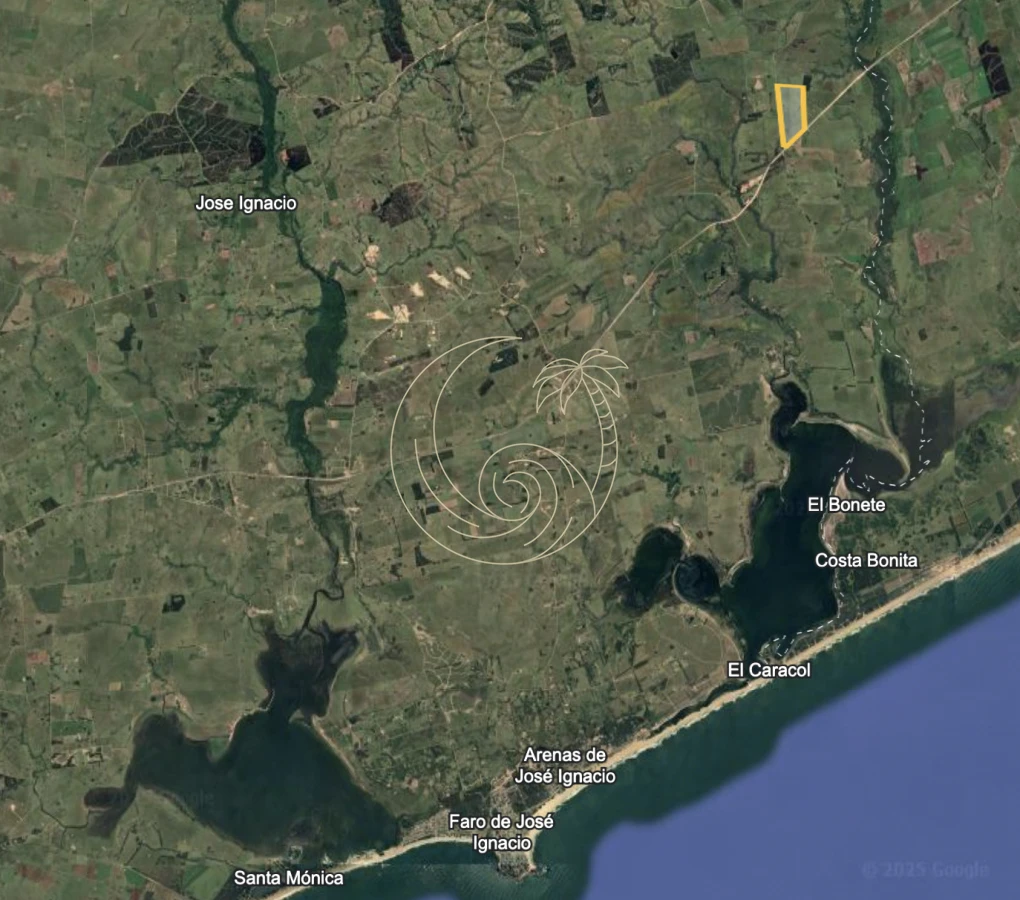 Campo Ref.21092828 - VENTA DE CHACRA – 81 HECTÁREAS EN CAMINO A PUEBLO GARZÓN