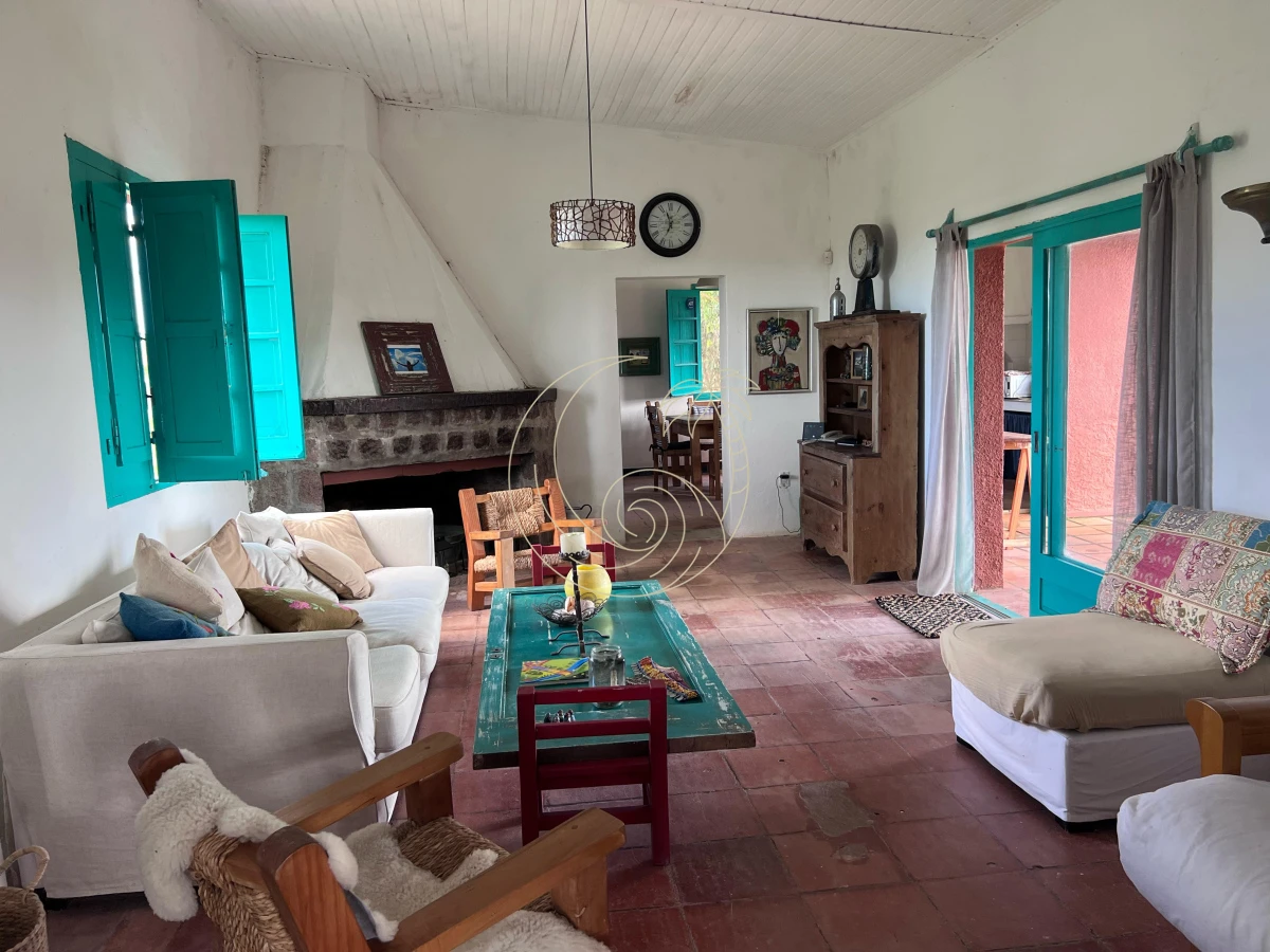 Campo Ref.21092828 - VENTA DE CHACRA – 81 HECTÁREAS EN CAMINO A PUEBLO GARZÓN