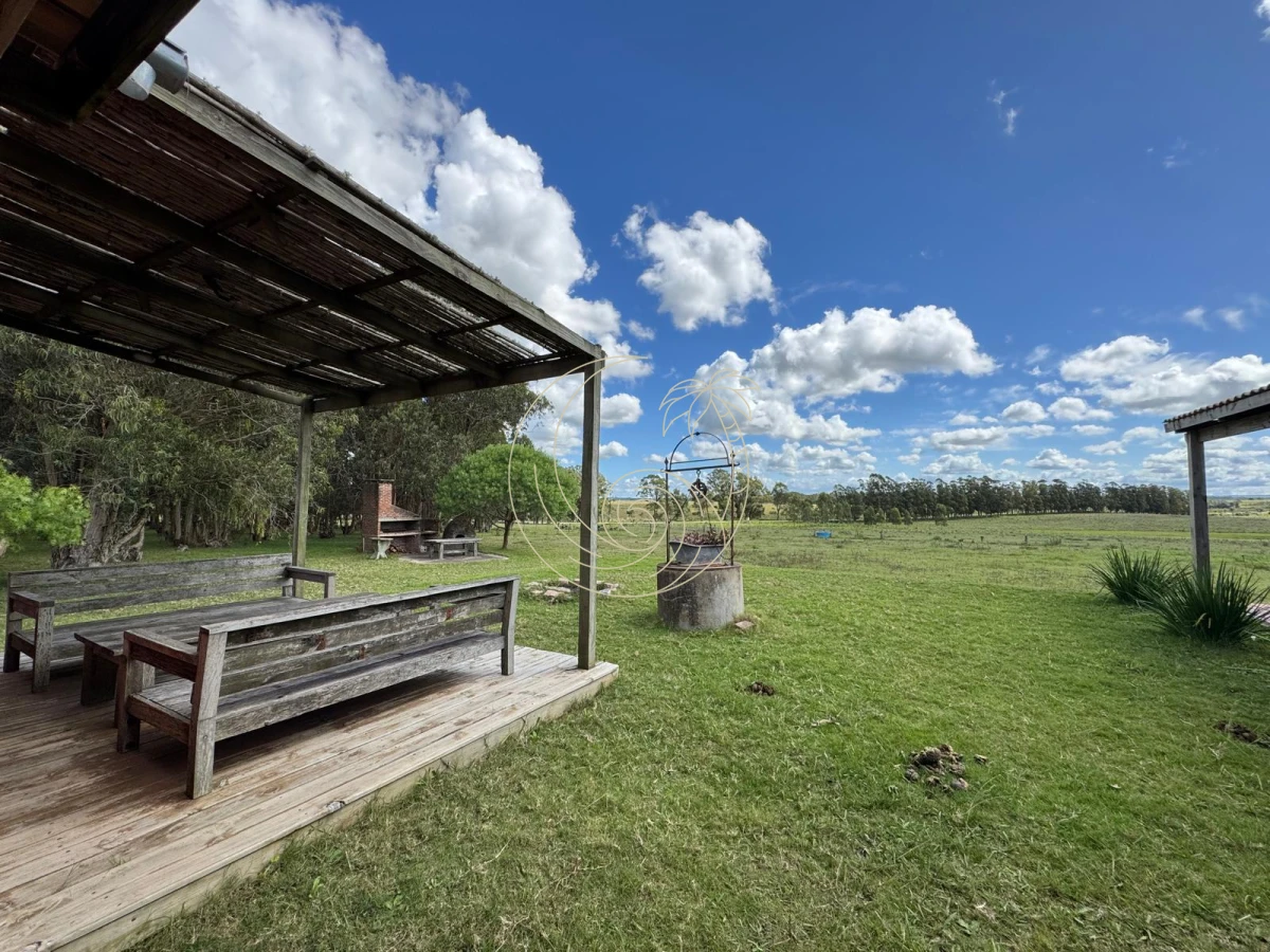 Campo Ref.21092828 - VENTA DE CHACRA – 81 HECTÁREAS EN CAMINO A PUEBLO GARZÓN