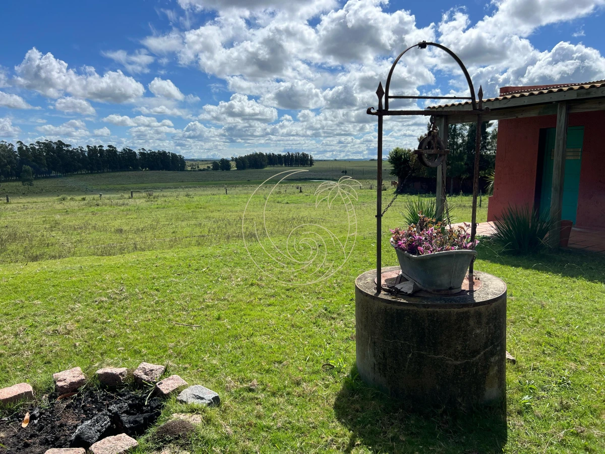 Campo Ref.21092828 - VENTA DE CHACRA – 81 HECTÁREAS EN CAMINO A PUEBLO GARZÓN