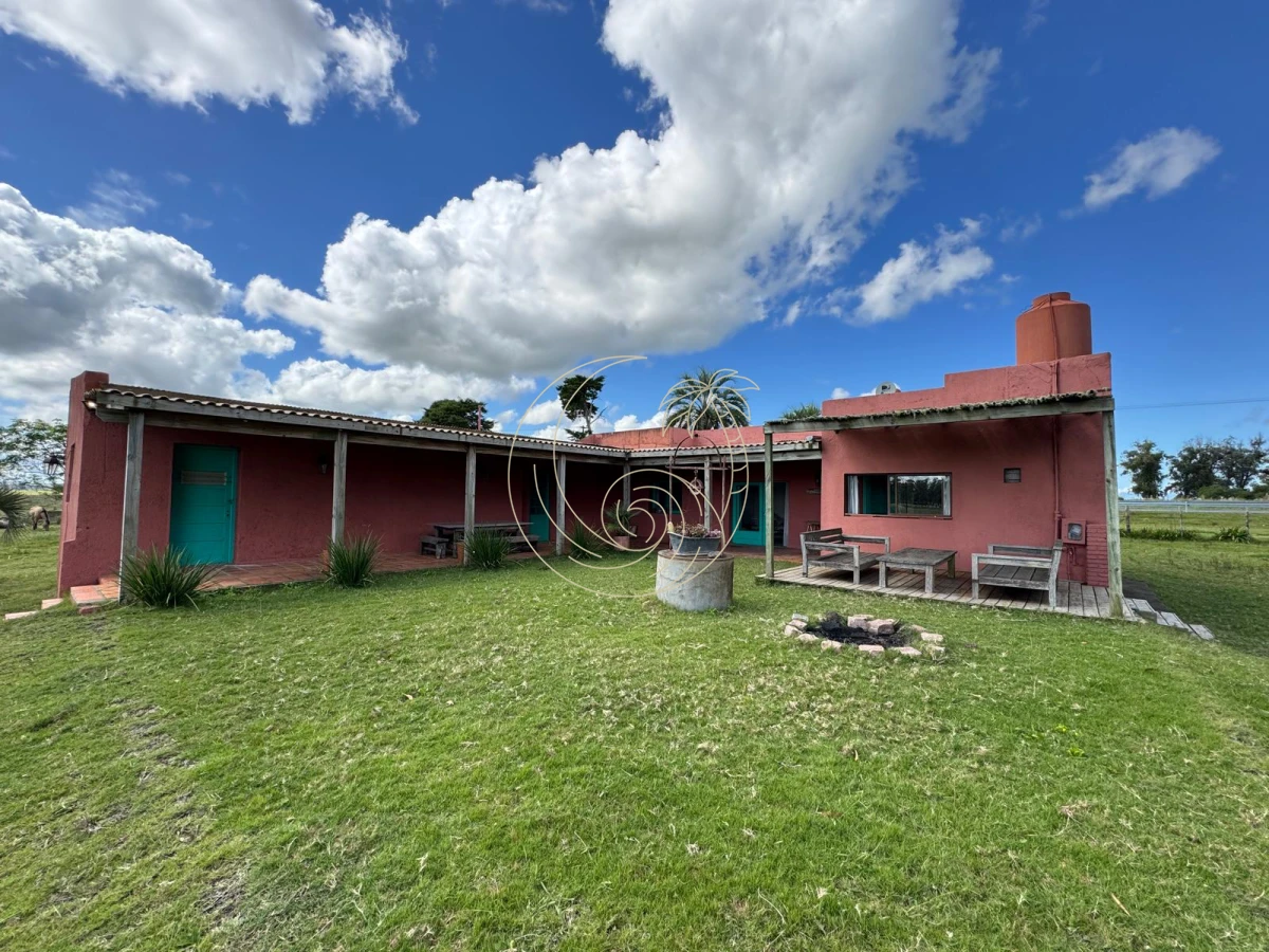 Campo Ref.21092828 - VENTA DE CHACRA – 81 HECTÁREAS EN CAMINO A PUEBLO GARZÓN