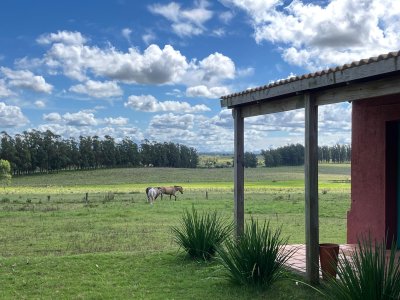 VENTA DE CHACRA  81 HECTÁREAS EN CAMINO A PUEBLO GARZÓN