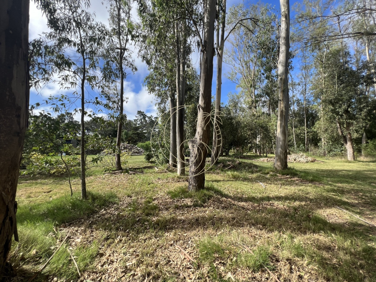 Terreno ID.21092255 - 8 Terrenos de 500 m2 aprox en El Tesoro - La Barra
