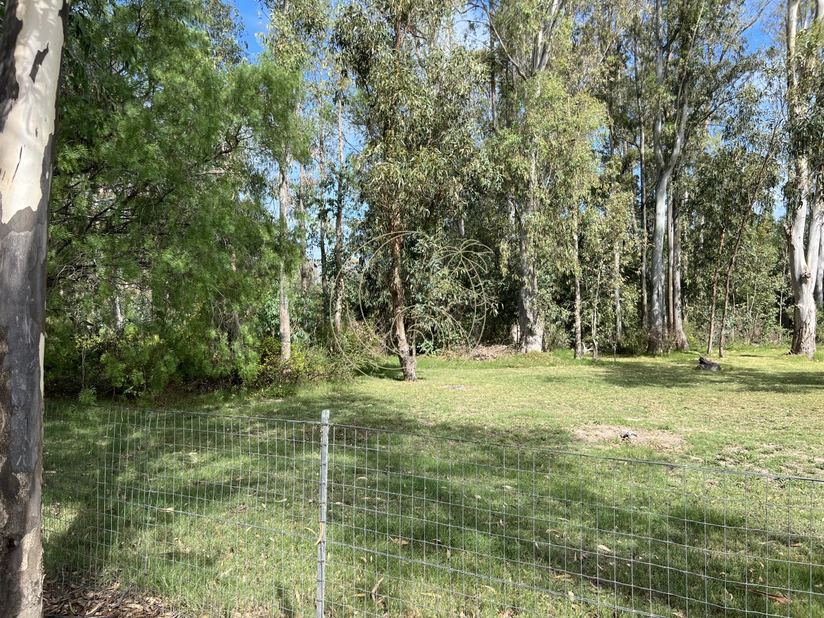 Terreno ID.21092255 - 8 Terrenos de 500 m2 aprox en El Tesoro - La Barra