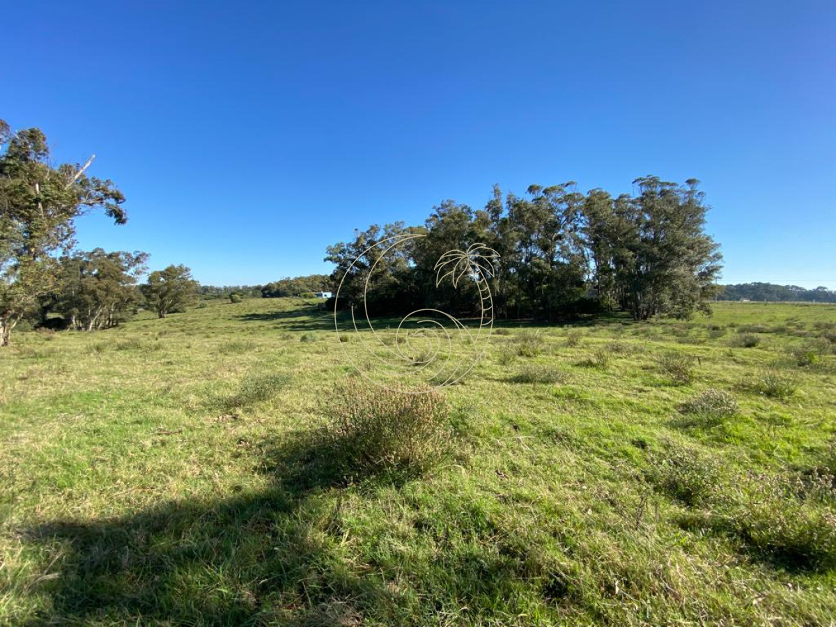 Terreno ID.21092378 - TERRENO 2.422m2 EN LA PALOMA, ROCHA 