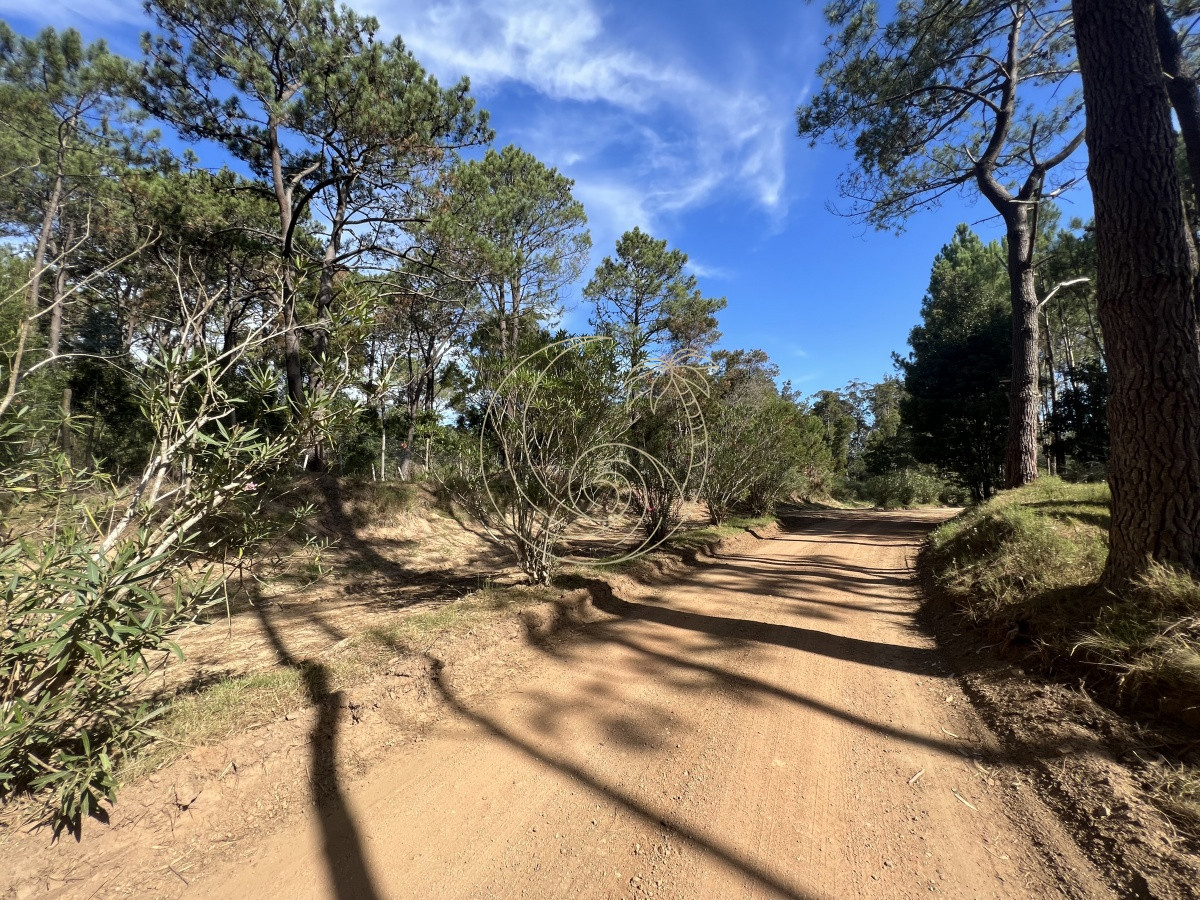 Terreno ID.21092258 - LOTES EN VENTA EN BARRIO CERRADO EN PLENA BARRA