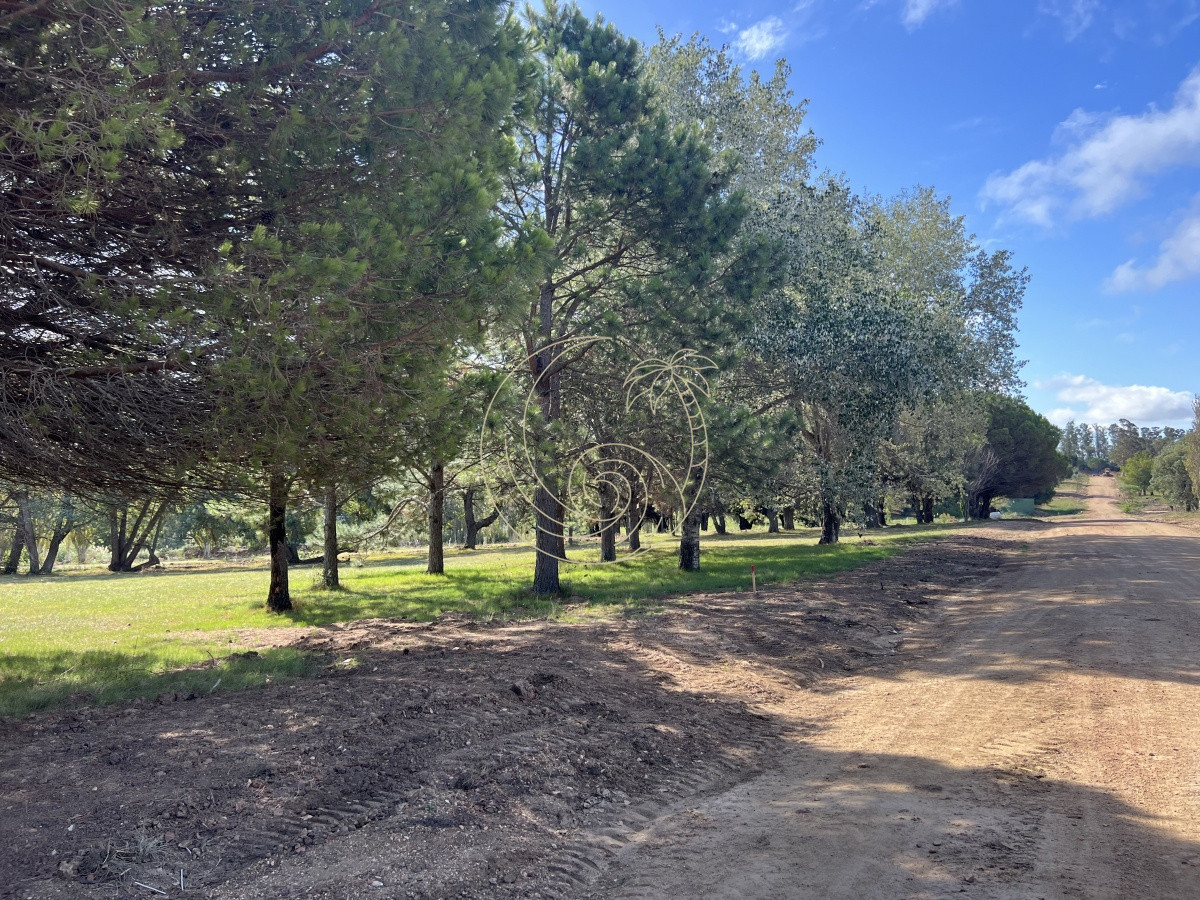 Terreno ID.21092258 - LOTES EN VENTA EN BARRIO CERRADO EN PLENA BARRA