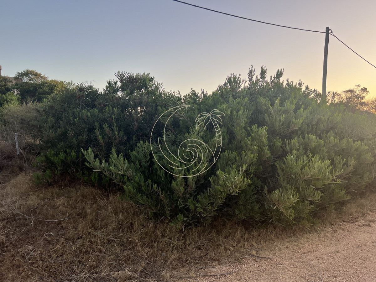 Terreno ID.21091939 - TERRENO DE 900 MT2 EN LA JUANITA A 100 MTS DEL MAR