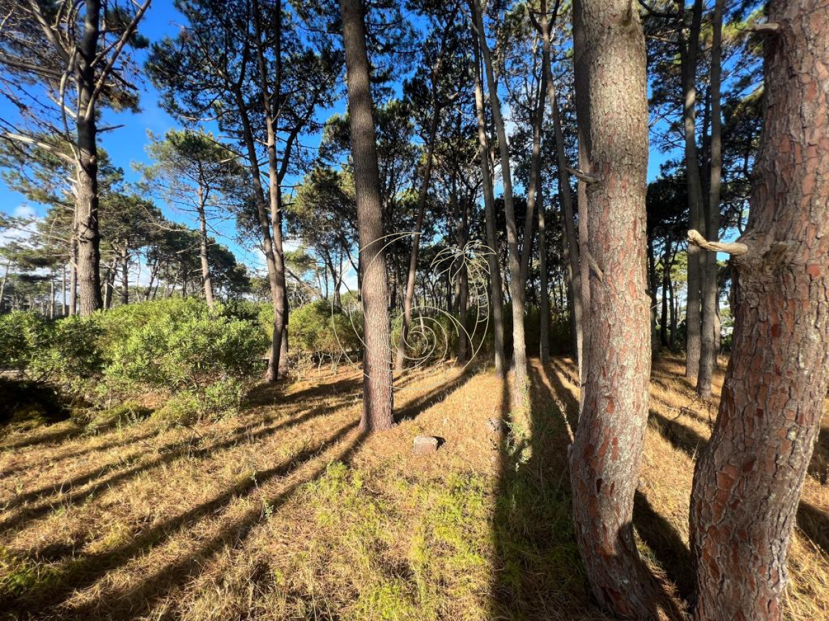 Terreno ID.21092145 - Terreno de 1000m2 en Reserva Montoya