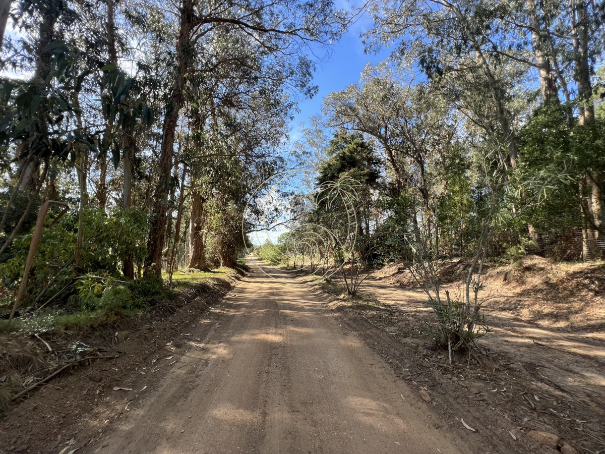Terreno ID.21092258 - LOTES EN VENTA EN BARRIO CERRADO EN PLENA BARRA